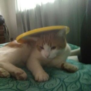 Meet your Posher, Heather-anne